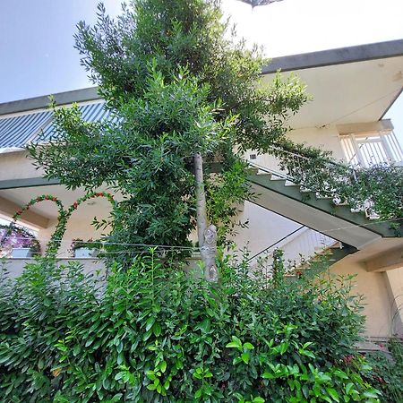 Casa Di Sofia Hotell Castellana Grotte Eksteriør bilde